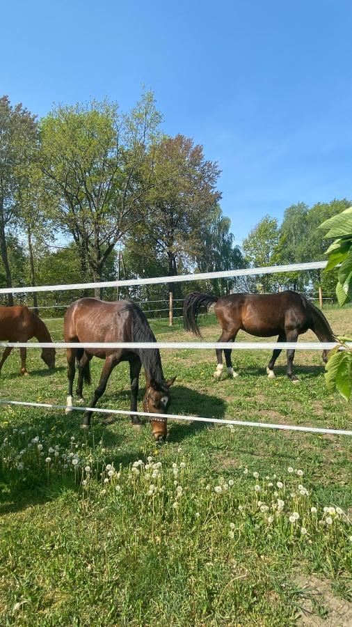 Pelnikowe Zacisze Villa Bobolice  Buitenkant foto